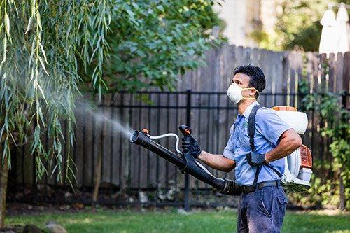 mosquito-control Conroe Texas